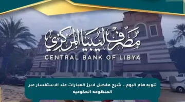 تنويه هام اليوم.. شرح مفصل لأبرز العبارات عند الاستفسار عبر المنظومة الحكومية